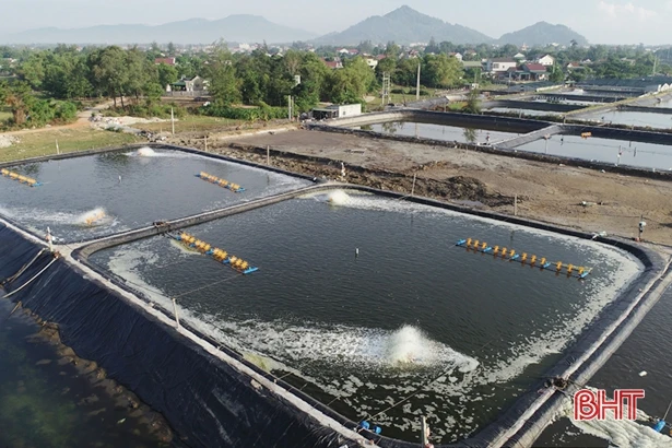 Điểm sáng kinh tế biển ở Lộc Hà