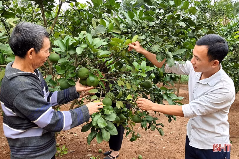 Kỳ vọng ở sức bật của cán bộ cơ sở huyện Kỳ Anh trong nhiệm kỳ mới