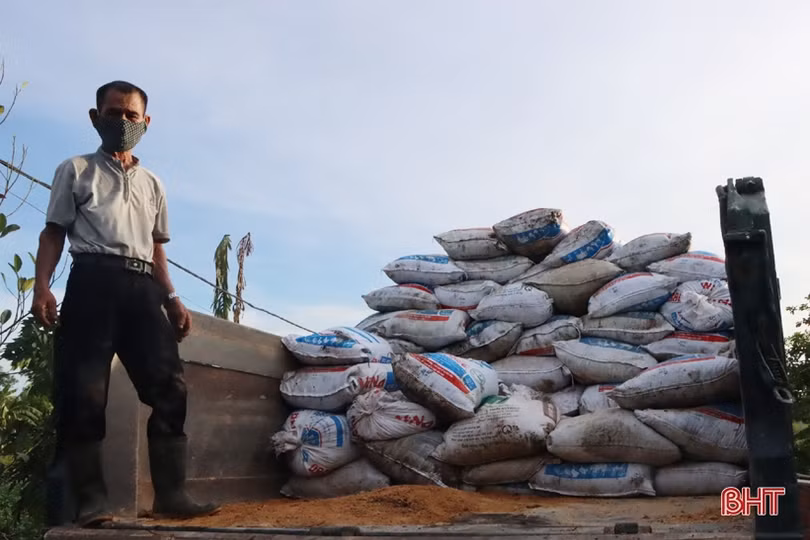 Nuôi gà siêu đẻ trứng, hợp tác xã ở Hà Tĩnh lãi gần 2 triệu đồng/ngày