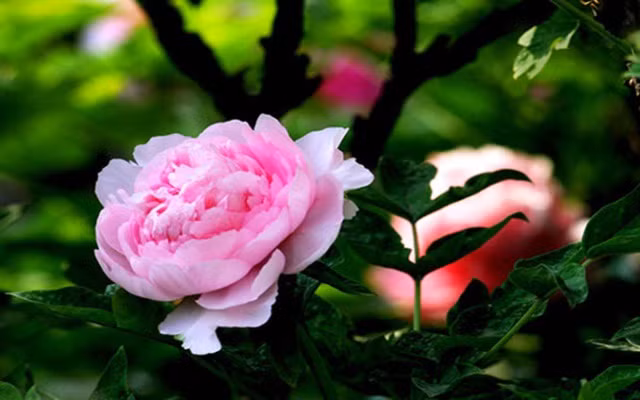 Những bí ẩn tại quê hương nữ hoàng duy nhất Trung Quốc