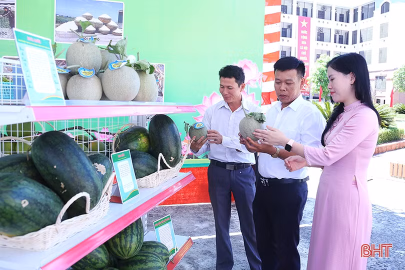 Sản phẩm OCOP, nông nghiệp tiêu biểu của Lộc Hà thu hút đại biểu bên lề đại hội