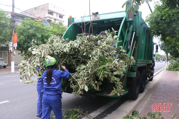 Thành phố Hà Tĩnh cắt tỉa gần 15.000 cây xanh trước mùa mưa bão