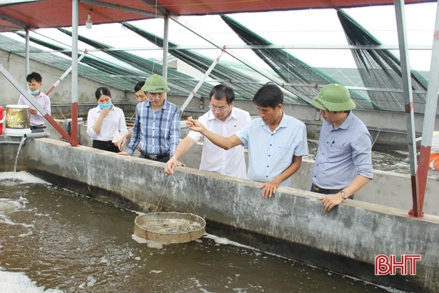 Điểm sáng kinh tế biển ở Lộc Hà