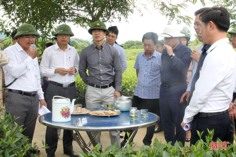 Những sản phẩm OCOP ở Hương Sơn đặc sắc, phát triển có chiều sâu