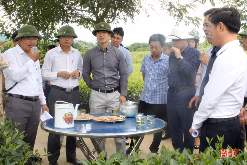 Những sản phẩm OCOP ở Hương Sơn đặc sắc, phát triển có chiều sâu