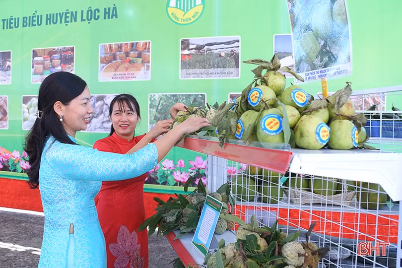 Sản phẩm OCOP, nông nghiệp tiêu biểu của Lộc Hà thu hút đại biểu bên lề đại hội