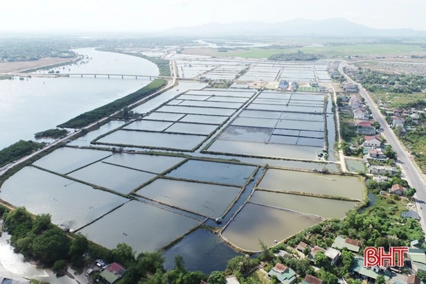 Điểm sáng kinh tế biển ở Lộc Hà