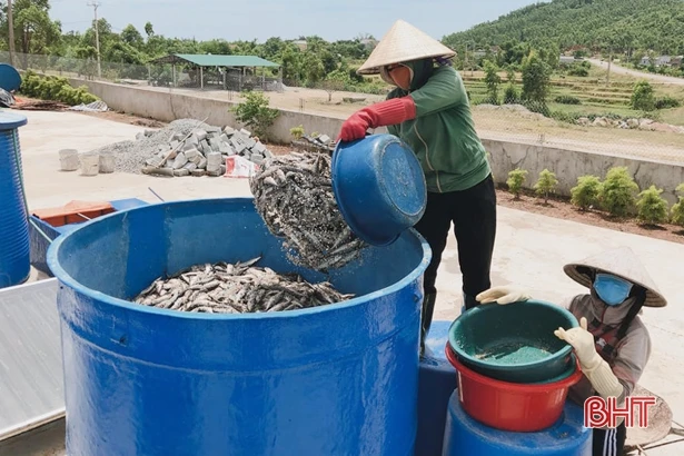 Đầu tư 50 tỷ đồng, lưới điện Kỳ Anh “hết ngại” thiên tai!