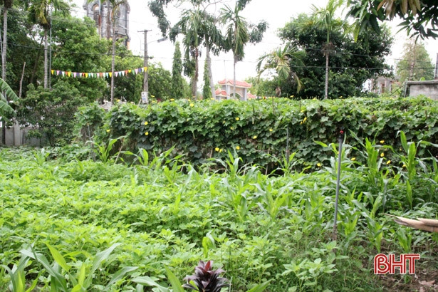 Chuyện ghi ở thôn giáo toàn tòng đạt chuẩn khu dân cư kiểu mẫu ảnh 6 Chuyện ghi ở thôn giáo toàn tòng đạt chuẩn khu dân cư kiểu mẫu