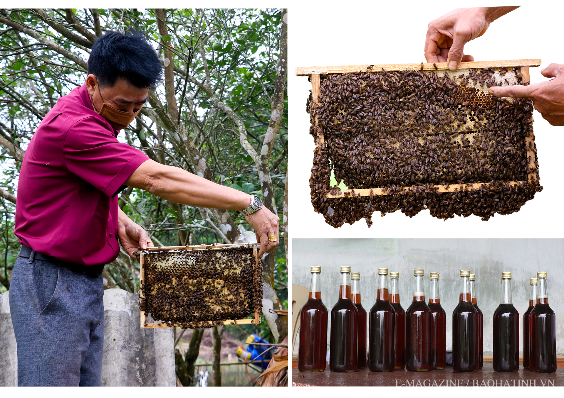 Can Lộc vững vàng vươn xa trên chặng đường mới