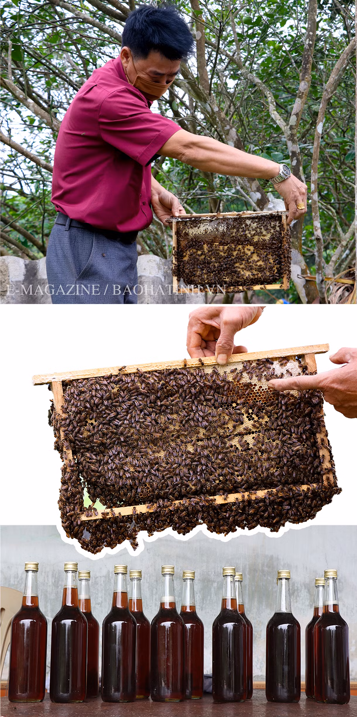 Can Lộc vững vàng vươn xa trên chặng đường mới ảnh 8 Can Lộc vững vàng vươn xa trên chặng đường mới