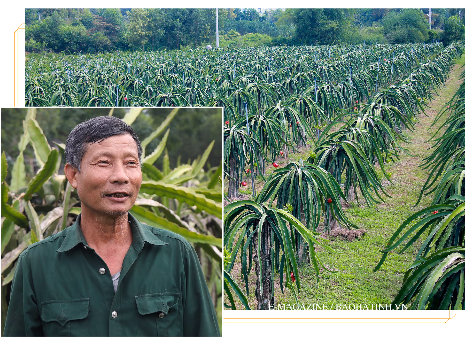 Can Lộc vững vàng vươn xa trên chặng đường mới
