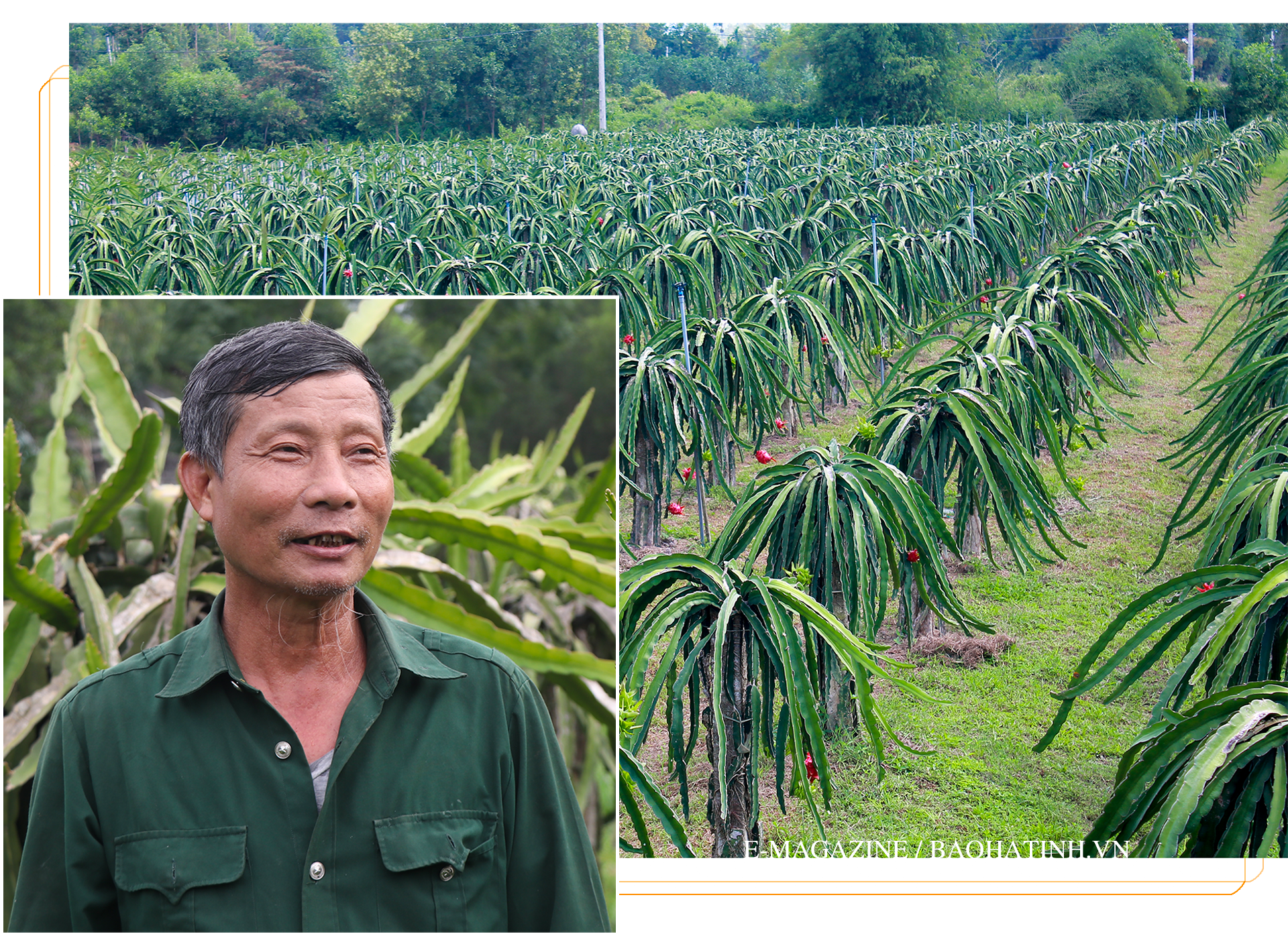 Can Lộc vững vàng vươn xa trên chặng đường mới