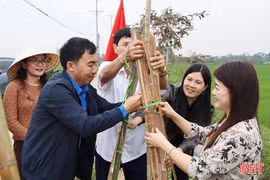 Xã Cẩm Xuyên trồng 750 cây xanh đầu Xuân Bính Ngọ