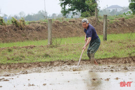 Vựa lúa trọng điểm Hà Tĩnh tạo lợi thế từ đầu vụ xuân