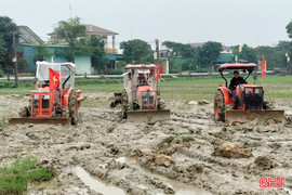 Cẩm Xuyên đẩy mạnh tích tụ, chuyển đổi ruộng đất