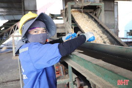 Căng thẳng thương mại Mỹ - Trung: Xuất khẩu dăm gỗ Hà Tĩnh gặp khó!