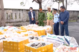 Vận chuyển hơn 2,6 tấn nội tạng động vật không rõ nguồn gốc qua Hà Tĩnh