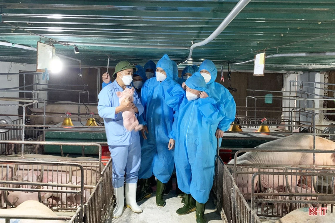 Thạch Hà cần có lộ trình phù hợp, phấn đấu đạt chuẩn huyện NTM nâng cao vào năm 2024