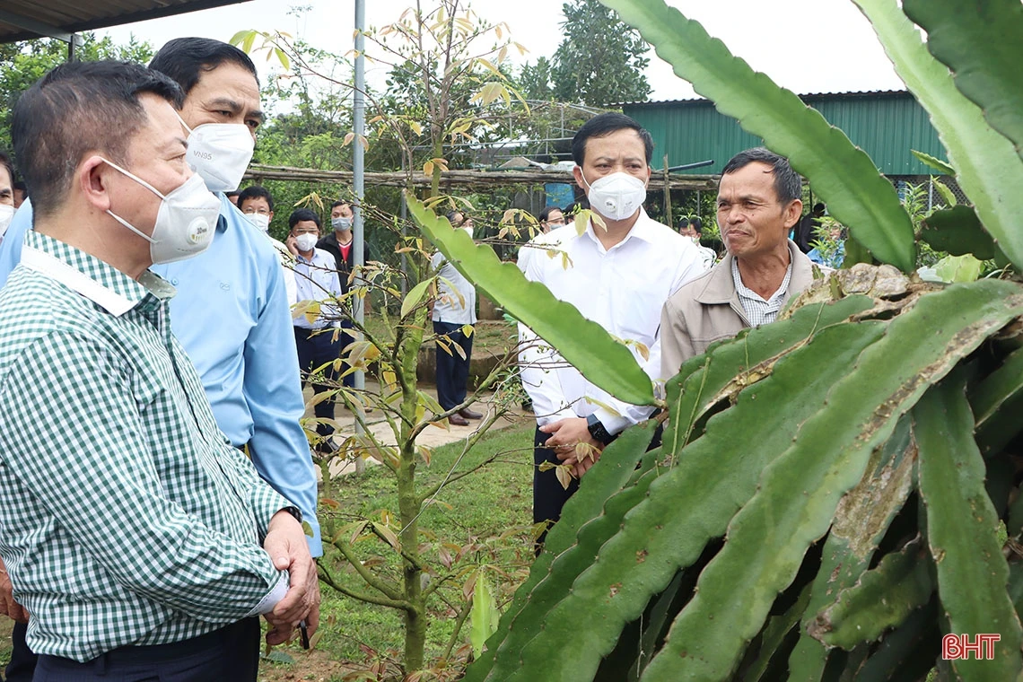 Thạch Hà cần có lộ trình phù hợp, phấn đấu đạt chuẩn huyện NTM nâng cao vào năm 2024