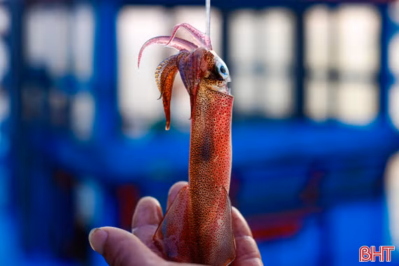 Kỳ 3: Níu chân du khách bằng ẩm thực tươi ngon, tình người sâu lắng