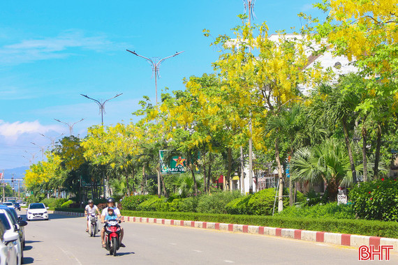 Thành Sen - mùa hoa gọi nắng