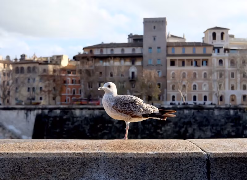 mot ngay dai vo tan o rome