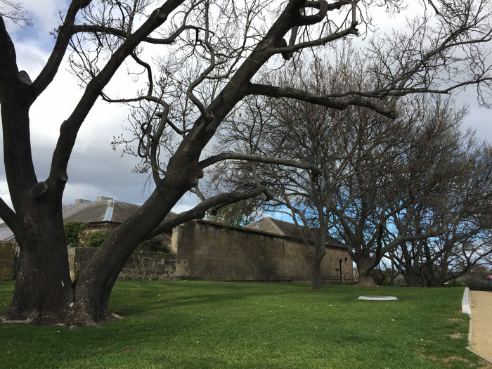 ngay roi tassie toi da bo quen con tim