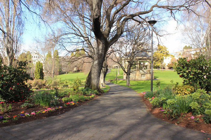 ngay roi tassie toi da bo quen con tim