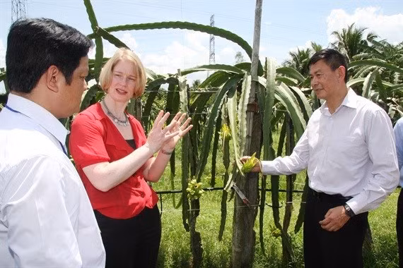 nhieu tiem nang de phat trien hon nua quan he viet nam new zealand