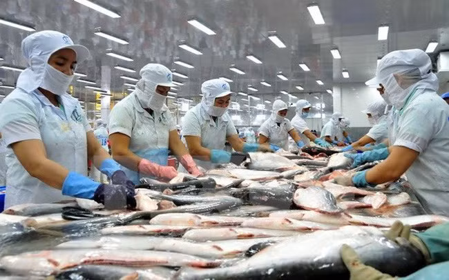 thuy san duoc mua gia ca tra cao ky luc