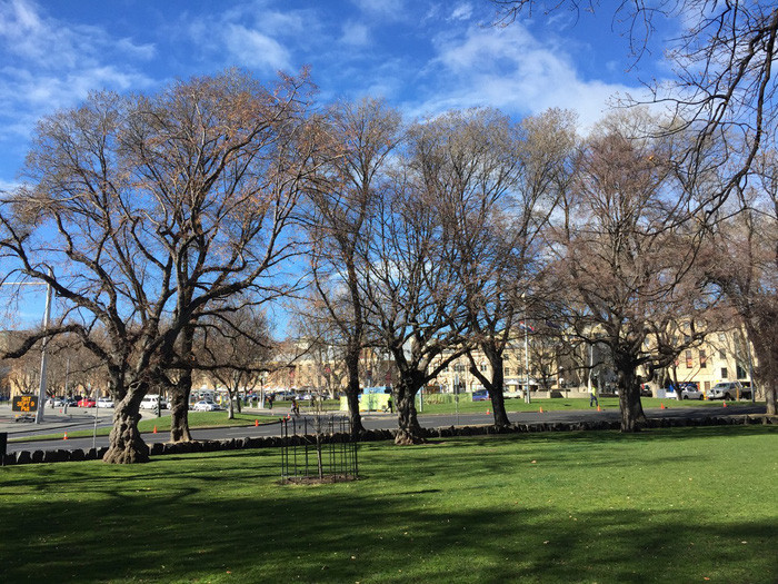 ngay roi tassie toi da bo quen con tim