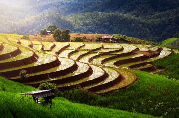 viet nam so huu 2 ruong bac thang dep nhat the gioi