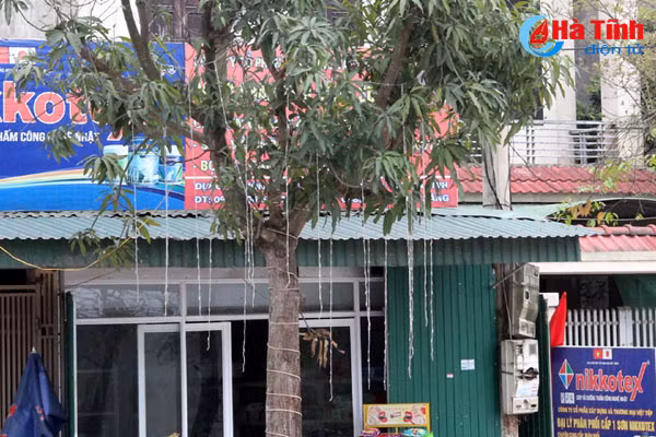 som thao go den trang tri tet de tranh su co ve dien