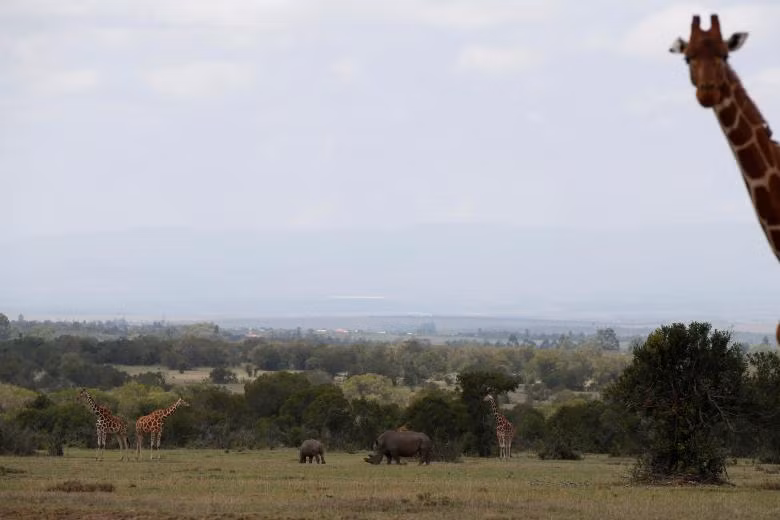 3 ca the te giac trang phuong bac cuoi cung con song tren trai dat