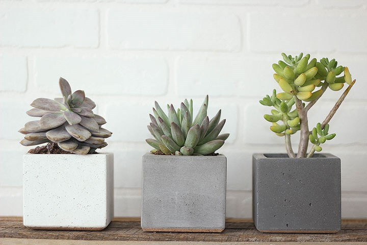 nhung mon qua doc dao danh tang phu nu khong qua dat do