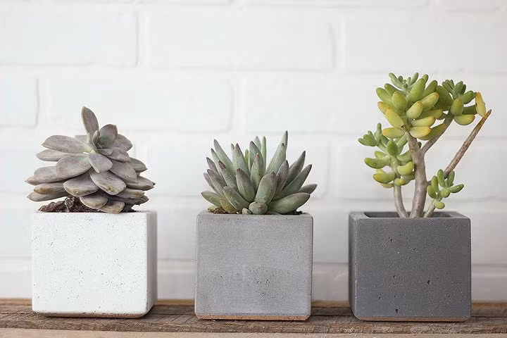 nhung mon qua doc dao danh tang phu nu khong qua dat do