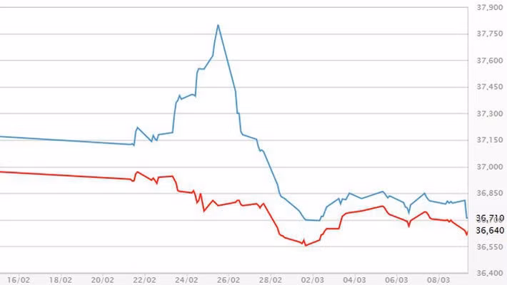 vang mieng sut gia usd tu do tang tro lai