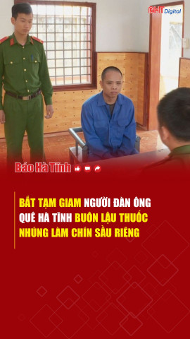 Bắt giam 2 đối tượng buôn thuốc nhúng làm chín sầu riêng 