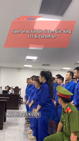 Tuyên án "đường dây tội phạm xuyên quốc gia" từ Tam Giác Vàng