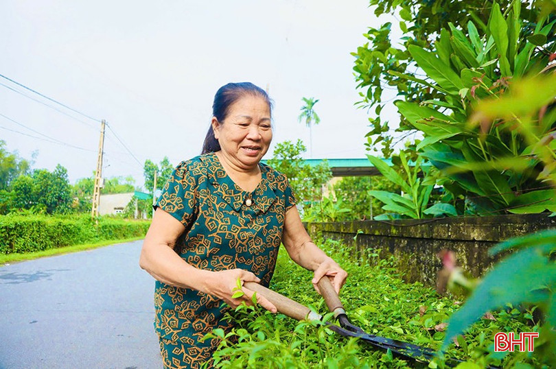 Người dân Đức Thọ ra quân cắt tỉa hàng rào xanh, tạo môi trường xanh - sạch - đẹp. bqbht_br_0002.jpg