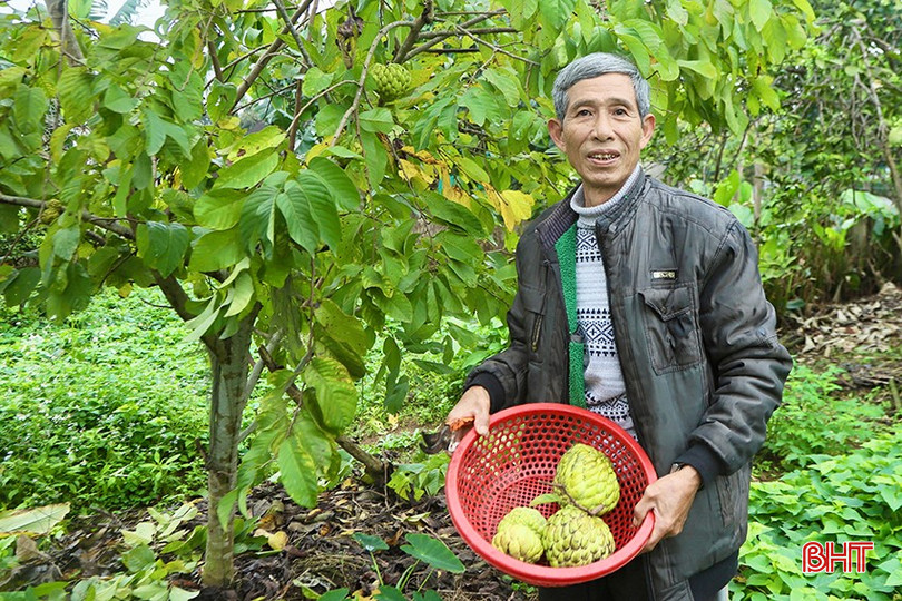 Ông Trần Văn Thuỷ trồng nhiều loại cây ăn quả đem lại mức thu nhập khá. bqbht_br_ls6.jpg