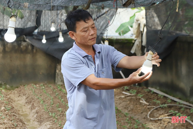 Người dân cần chủ động thực hiện các biện pháp giúp cây sinh trưởng, phát triển tốt. 4-996-1931.jpg