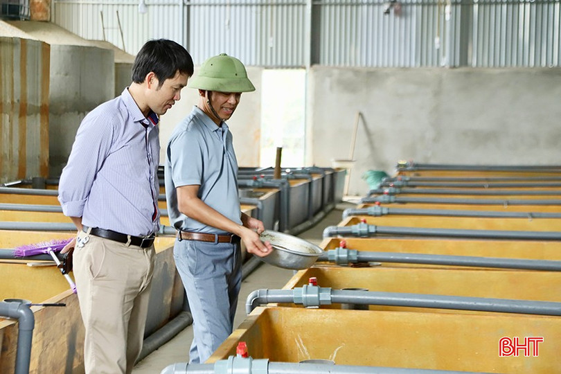 Anh Nguyễn Quốc Hữu (bên phải) trao đổi về kỹ thuật chăm sóc lươn trong từng giai đoạn phát triển. bqbht_br_5-6866.jpg
