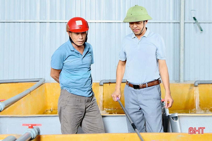 Người dân đến tham quan mô hình nuôi lươn không bùn đầu tiên tại Cẩm Quang. bqbht_br_2-6493.jpg