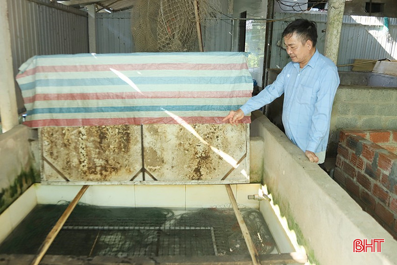 Từ nghề mộc, ông Trần Văn Hiếu chuyển sang chăn nuôi tổng hợp để phát triển kinh tế. bqbht_br_6.jpg