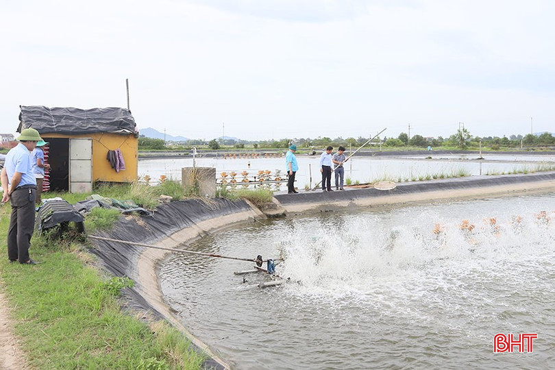 Ngành nông nghiệp Hà Tĩnh đang tích cực triển khai các phương án phục hồi sản xuất. bqbht_br_e5.jpg