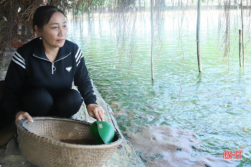 Chị Nguyễn Thị Lâm dự kiến mở rộng quy mô, xây dựng mô hình câu cá trải nghiệm. 1.jpg