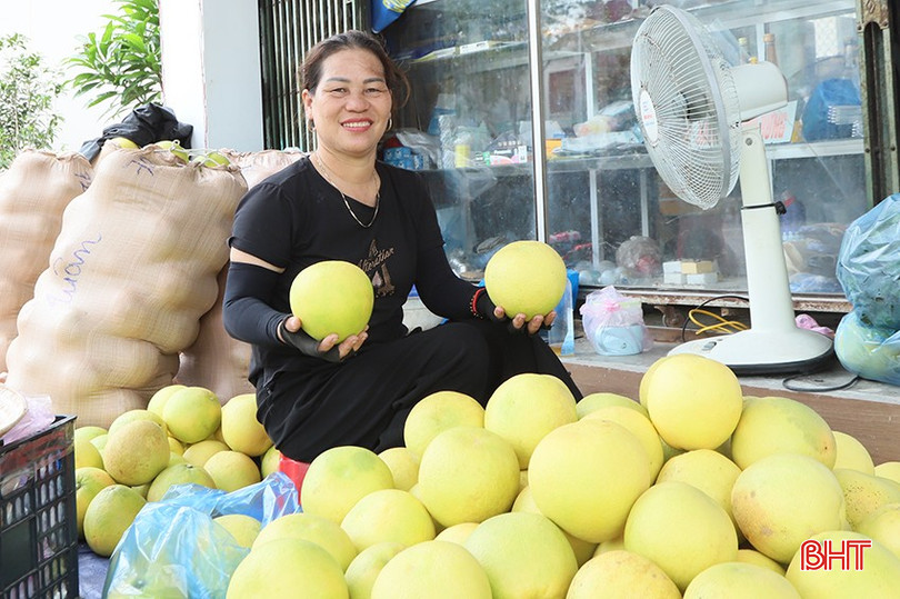 Chị Nguyễn Thị Tuân có hơn 14 năm trồng, kinh doanh đặc sản bưởi Phúc Trạch. 2.jpg