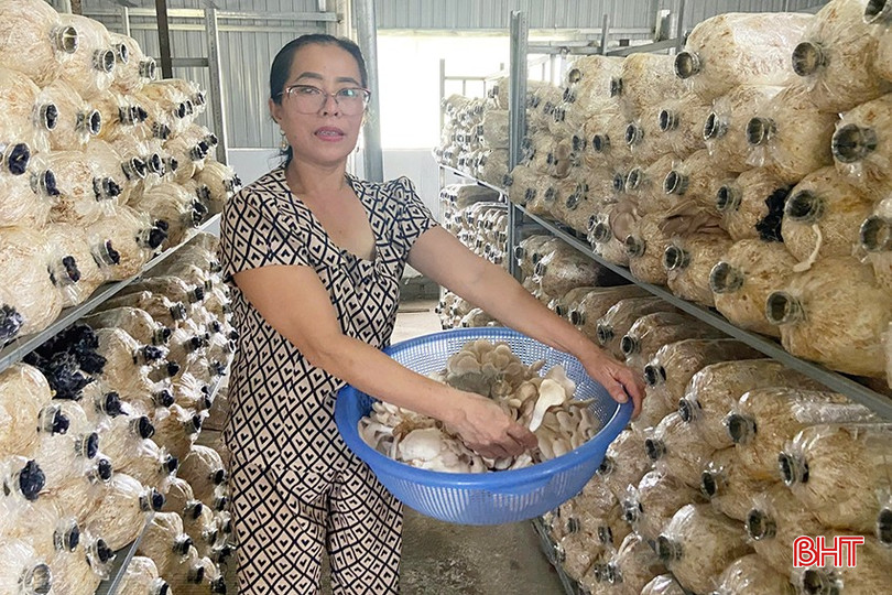 Chị Bùi Thị Anh với cơ sở trồng nấm quy mô 20.000 bịch phôi nấm/năm. bqbht_br_h1.jpg